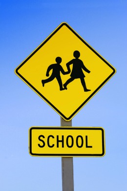 Yellow school crossing sign.
