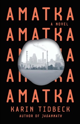 Book cover for Amatka.