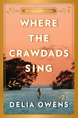 MP3 device with headphones that contains the audiobook for Where the Crawdads Sing.
