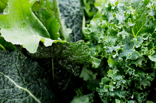Closeup of dark green vegetables.