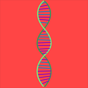 Illustration of the DNA double helix against a red background.