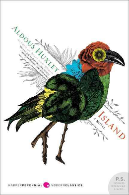 Island book cover