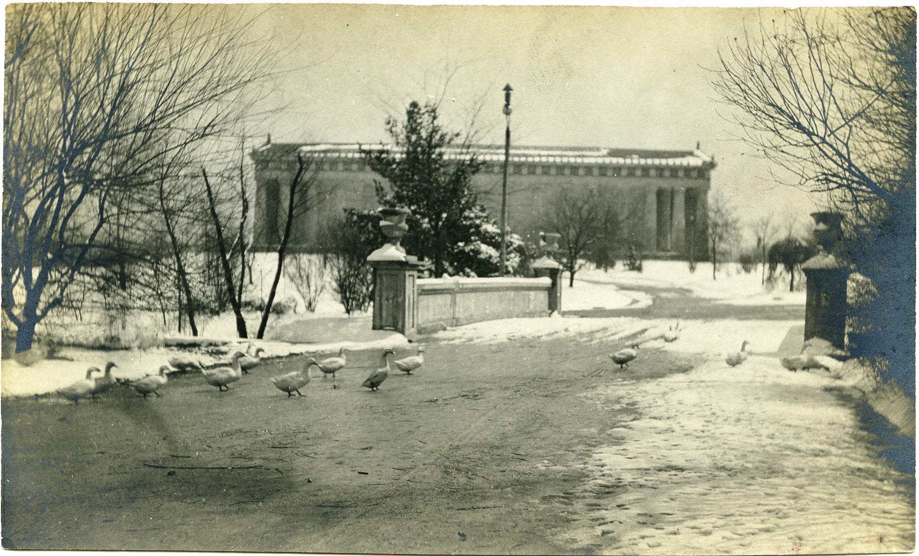 The Parthenon in Nashville during a snowfall. Ducks in foreground.