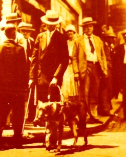 Crowd of men in suits and pill box hats watch a man walking a medium-sized dog.