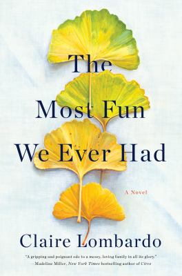 Book cover for the most fun we ever had.