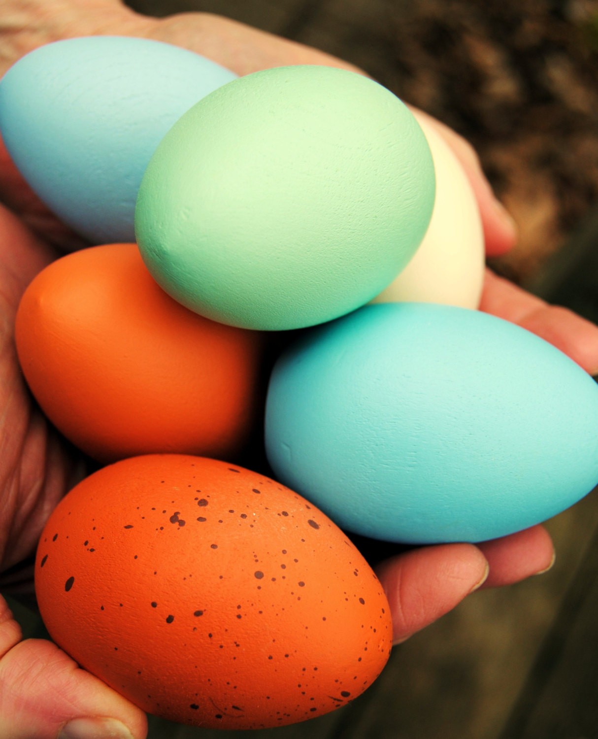 multi colored eggs