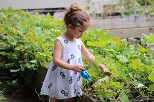 Little girl in a garden.