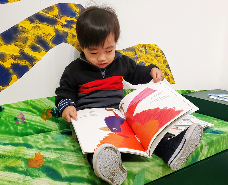 Young boy with dark hair sits on a green sofa and looks at a children's book.