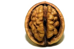 Walnut shell broken in half to reveal two hemispheres of walnut, resembling a brain.