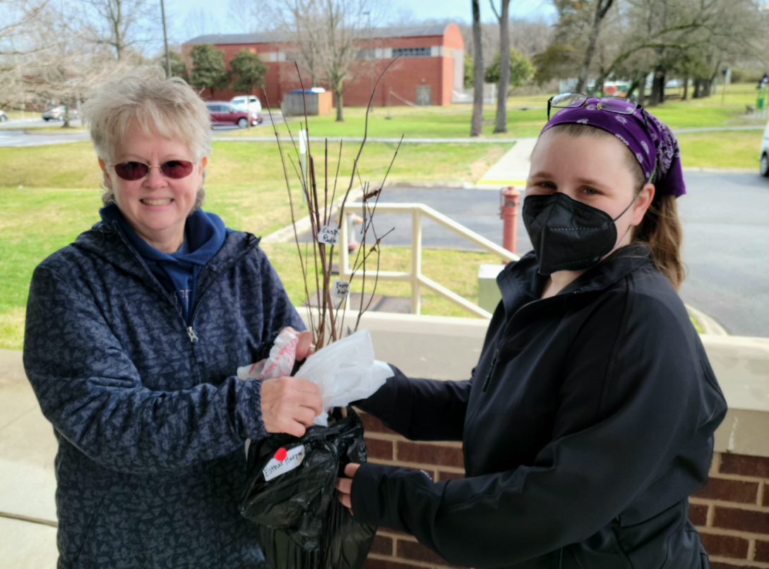 One person handing a bag of small bare root sapling trees to another person. 