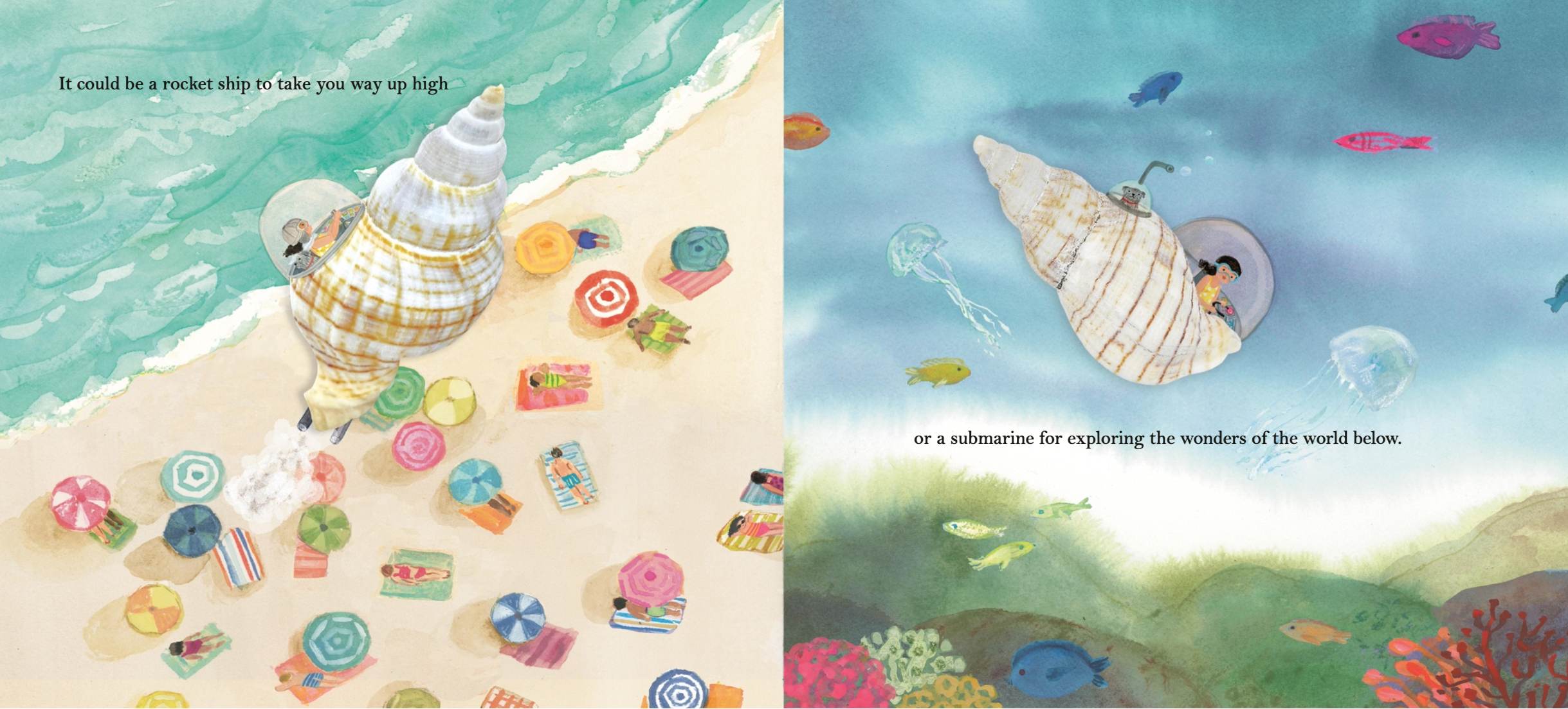 Illustration. Conch shells.