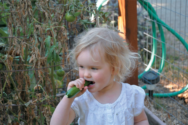 Young girl biting a cucumber