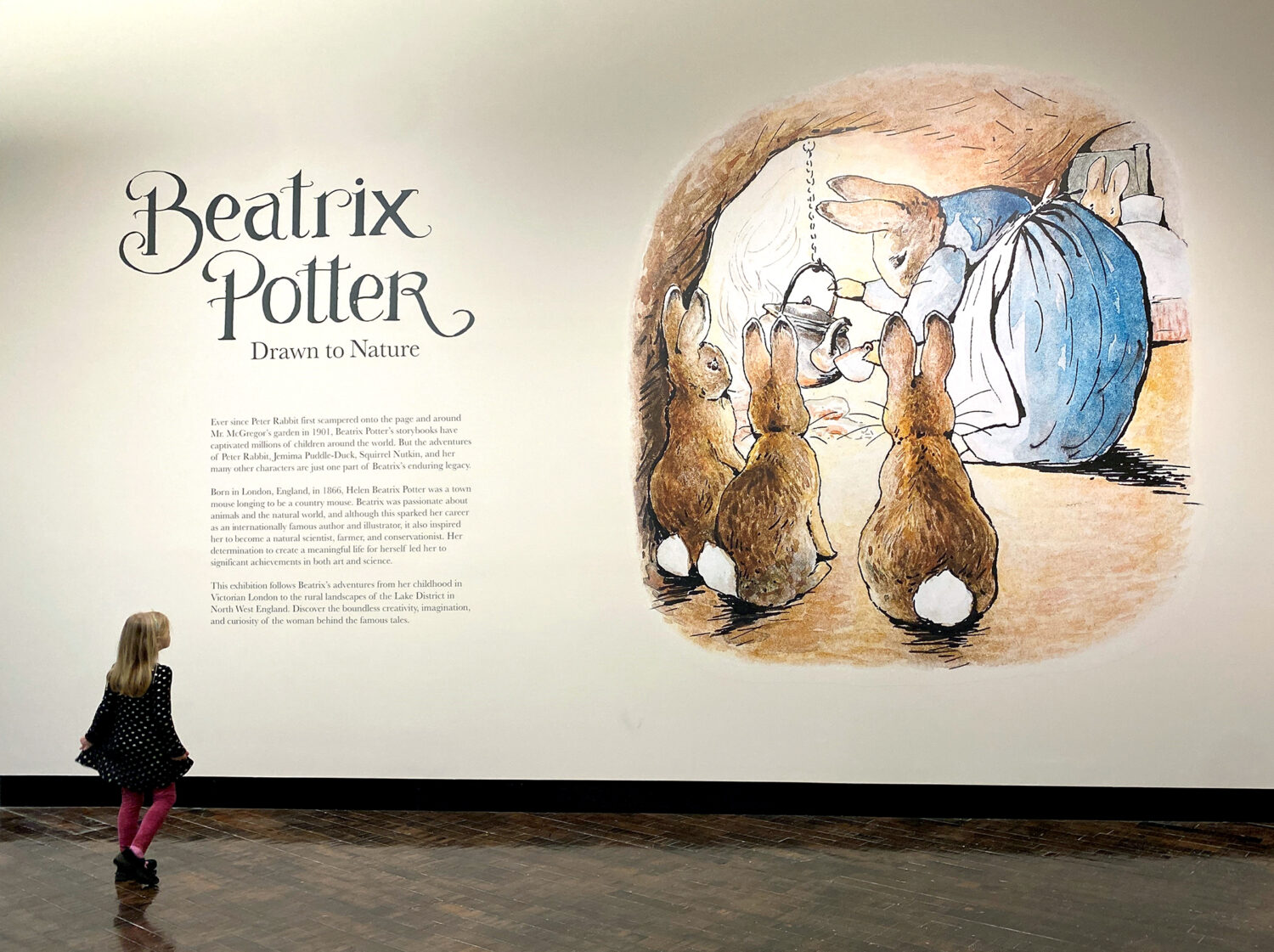 Young girl looking at a mural of a Beatrix Potter exhibit showing a mother rabbit cooking for three baby rabbits