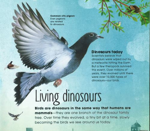 Illustration of flying pigeon including words Living Dinosaurs.