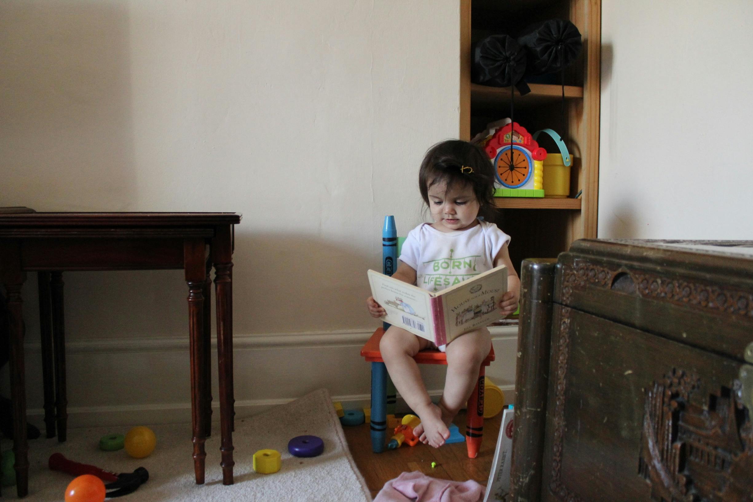 Toddler sitting in chair reading a board book