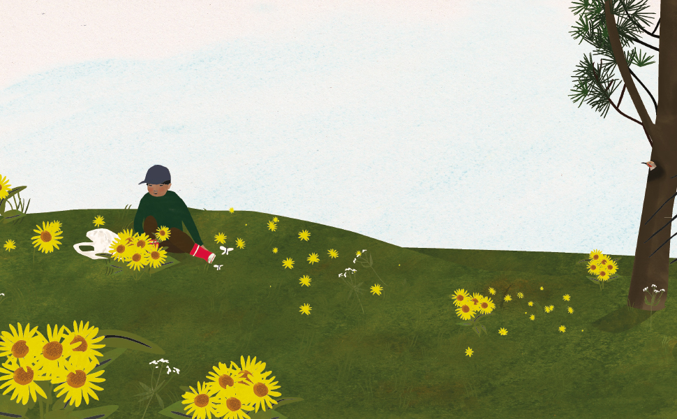 Boy wearing a green shirt, brown pants, and red socks in a field covered in yellow flowers