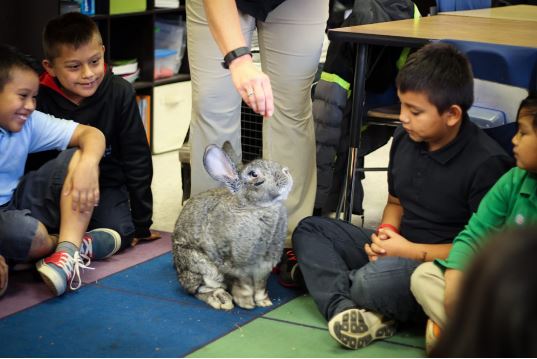adult and four children sit on the floor around a live rabbit
