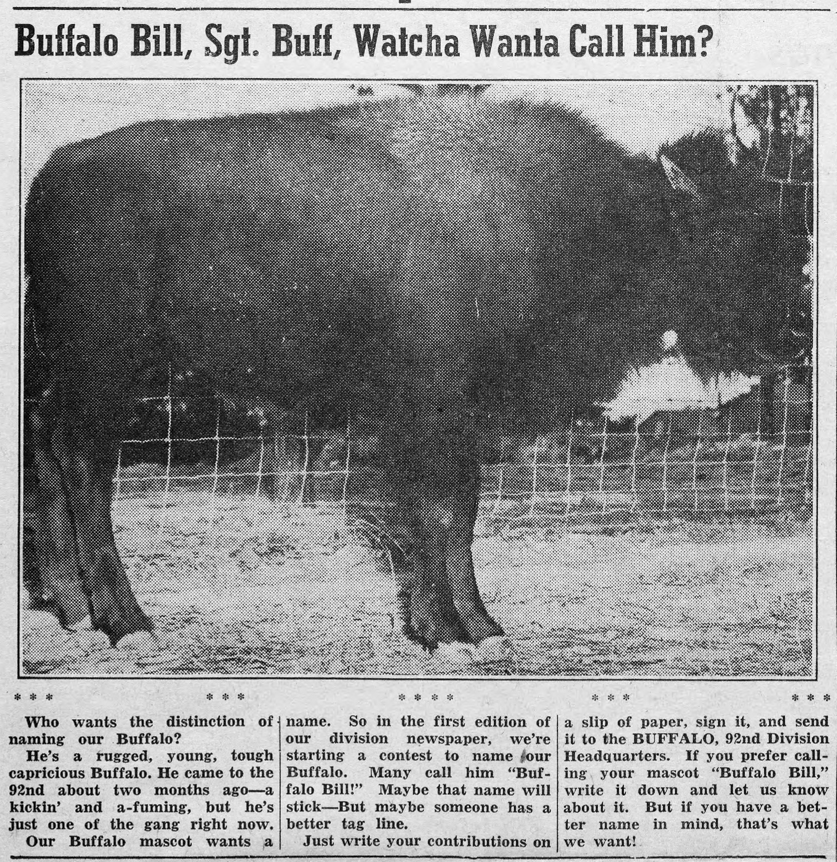 Newspaper clipping
