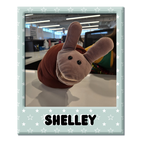Shelley