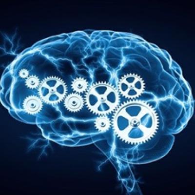 Brain work