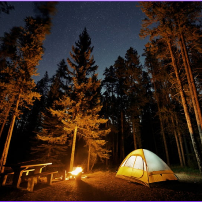 Glowing tent in a forest of trees.