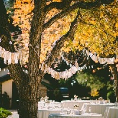 Tables with white tablecloths set under autumn trees.