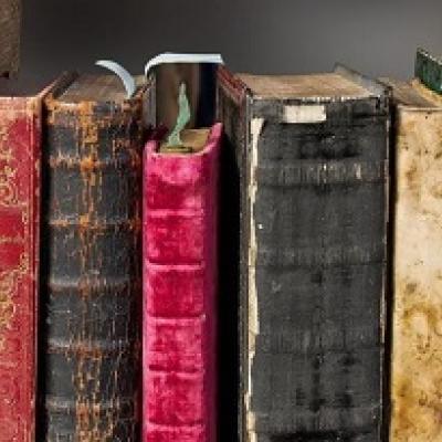 Books on a shelf.