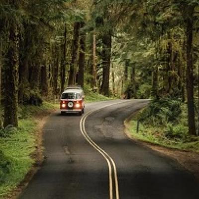 VW bus on forest road.
