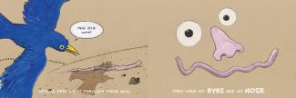 Illustrated book page spread of blue bird flying over worm on sidewalk.