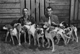 Black and white photo of two men and their hunting hounds.