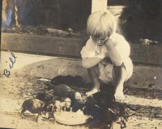 Black and white historical photo of a young boy and 6 puppies.